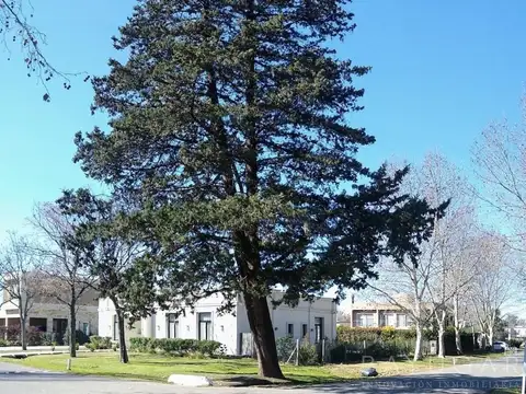 Terreno en Venta de 803,0 m2