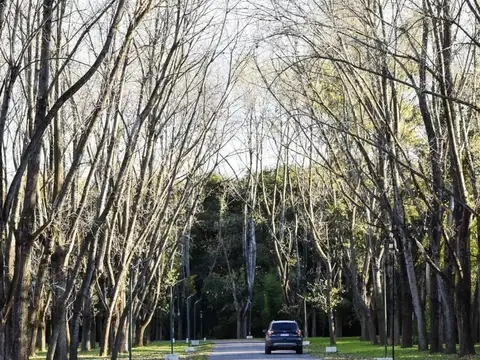 Terreno en Sausalito