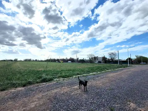 Terreno en Venta de 625,0 m2