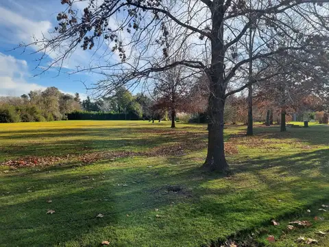 Terreno en venta en Altos de Manzanares -