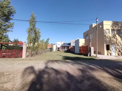 Los Aromos 3100