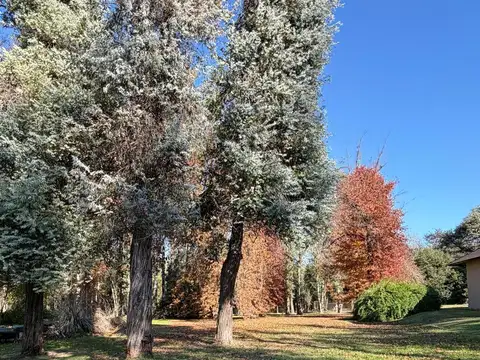Lote en Country Las Praderas de Lujan