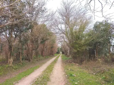 Ana Zavalía Bunge y ruta al 100