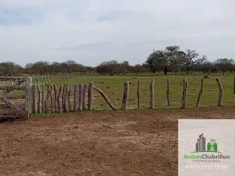 Federal Entre Ríos 100