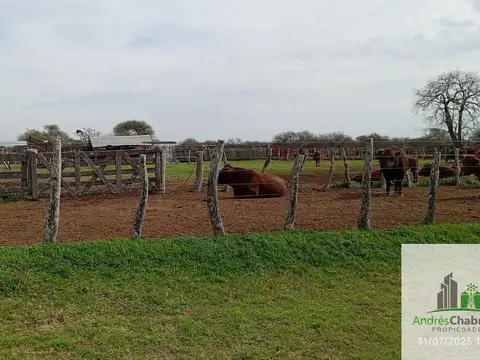 Campo en alquiler de 1400has ubicado en Federal Entre Ríos