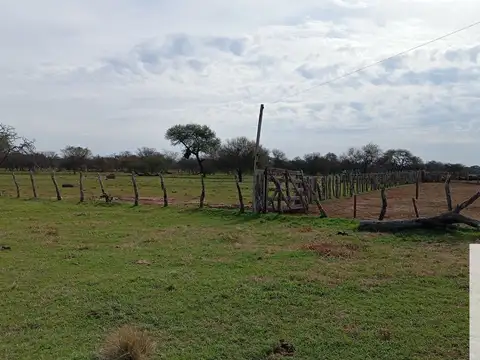 Federal Entre Ríos 100