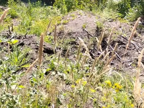 Terreno en Venta de 723,0 m2