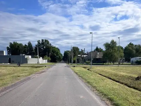 OPORTUNIDAD Maiztegui y Houssay