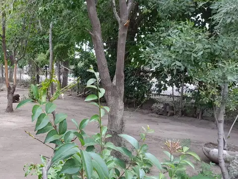Casa en Venta en Rivadavia, USD 55.000