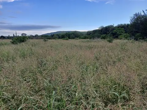 Terreno en Venta de 15000,0 m2