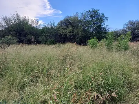 Terreno en Venta de 15000,0 m2