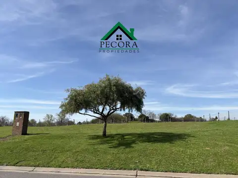 Terreno en Venta 20  mts Frente