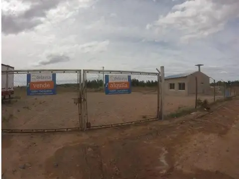 Ruta N° 6 100