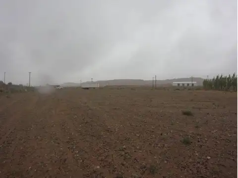 Terreno en Venta en Rincón de los Sauces, USD 490.000