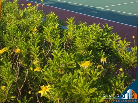 Terreno en Venta 40  mts Frente