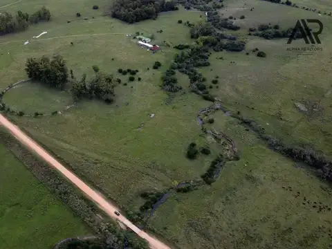 Venta Campo agricola 434 hs ubicado Centurión, Melo