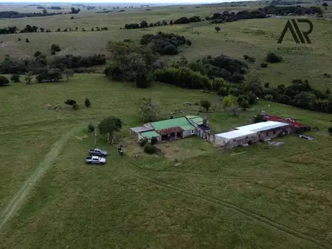Venta Campo agricola 434 hs ubicado Centurión, Melo
