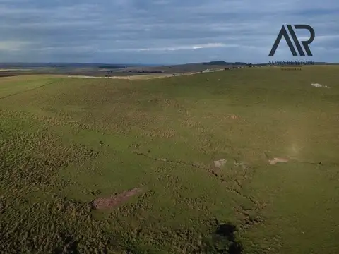 Venta Campo agricola 434 hs ubicado Centurión, Melo