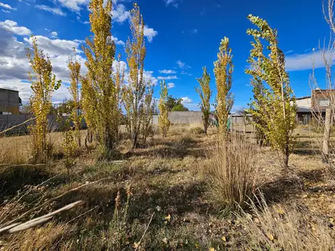 Terreno en Venta en General Fernandez Oro, USD 19.000