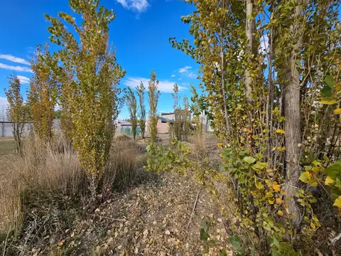 Terreno en Venta 12  mts Frente