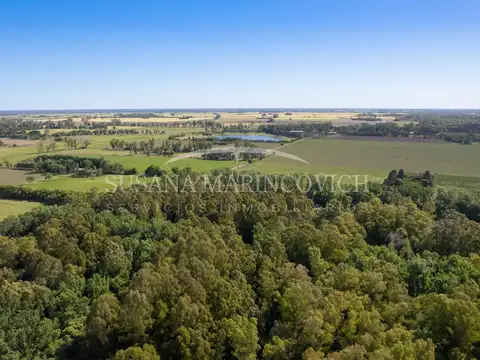 Terreno en Venta de 35000,0 m2
