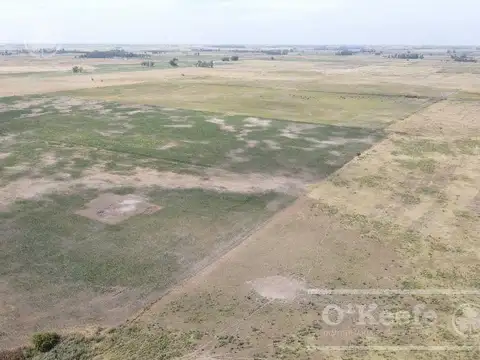 Lobos 168 Has . a menos de 1 hs de CABA,  Excelente oportunidad!