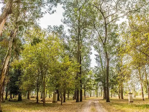 Terreno en Venta de 1754,0 m2