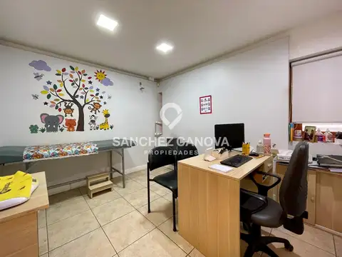 Pioneros 3900