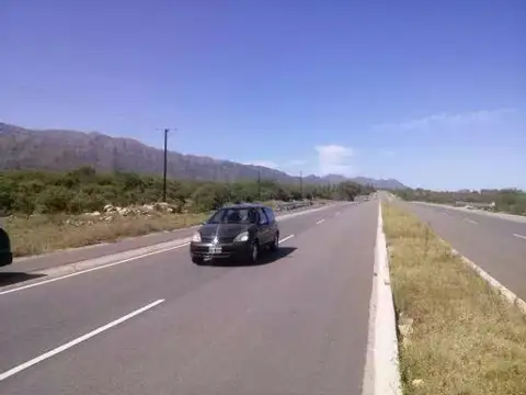 Campo en Venta Forestal