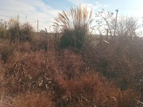 Terreno en Venta en Junín, USD 15.000