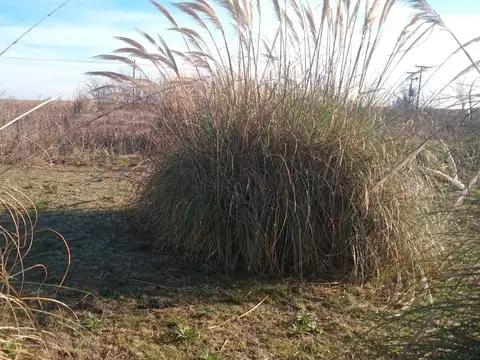 Terreno en Junin