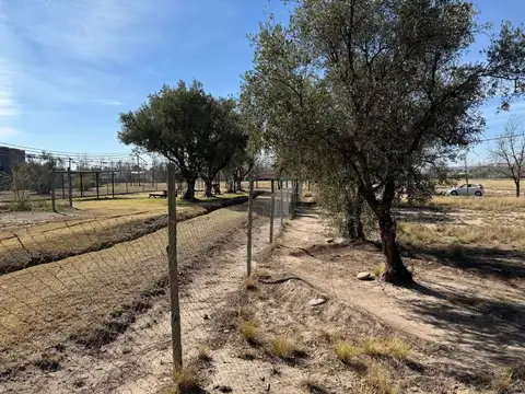 Terreno en Venta de 1000,0 m2
