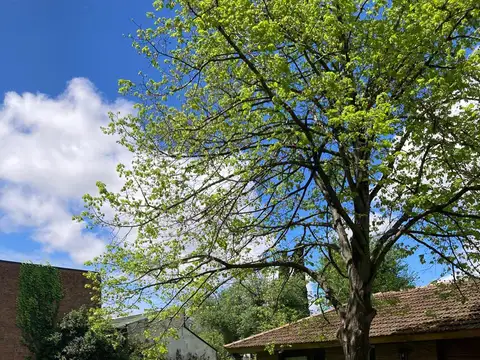 Casa en Alquiler Temporal al Norte