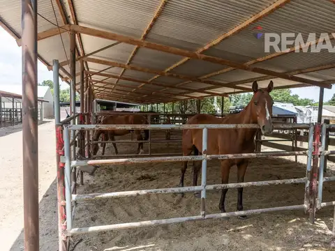LOTE  EN VENTA C VISTA A CANCHA DE POLO-OPEN DOOR