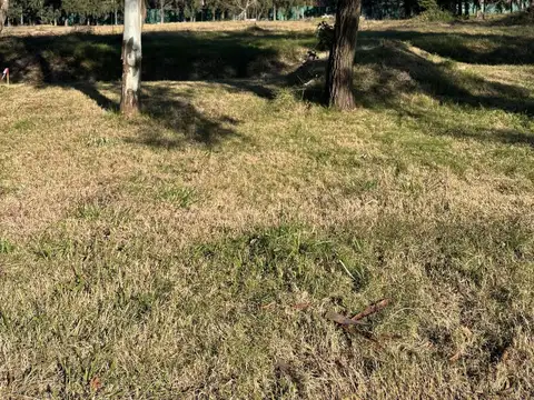 Terreno en Venta en Manuel Alberti, USD 165.000
