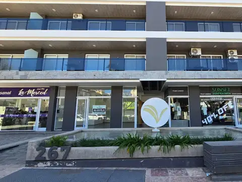 Local en Venta en Villa Carlos Paz, USD 95.000
