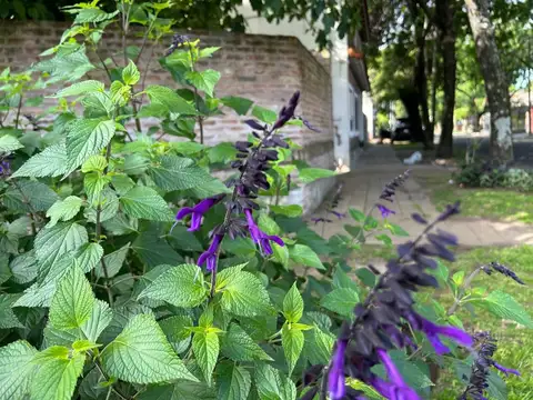 Amplio PH 4 amb c/ Garaje y Jardin