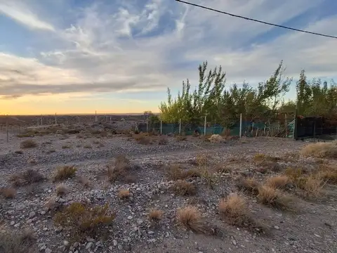 El Junquillo Manzana 1 100