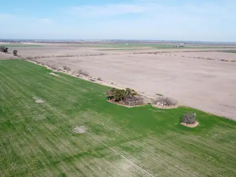 Campo de 179has en Sa Pereyra