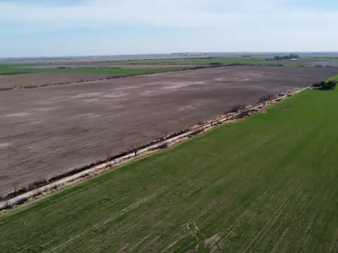 Campo de 179has en Sa Pereyra