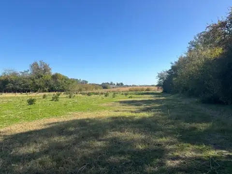 Campo en Venta Agrícola