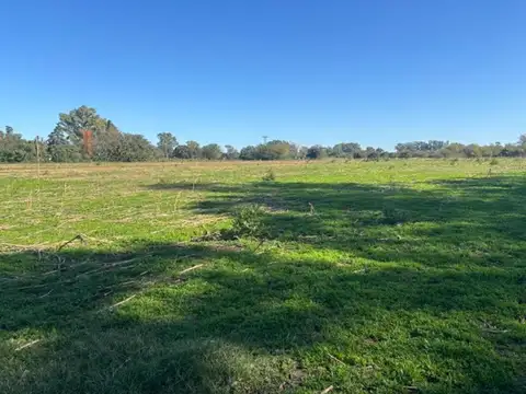 Rural 100