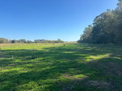 Campo de 11 has agrícolas en San Pedro