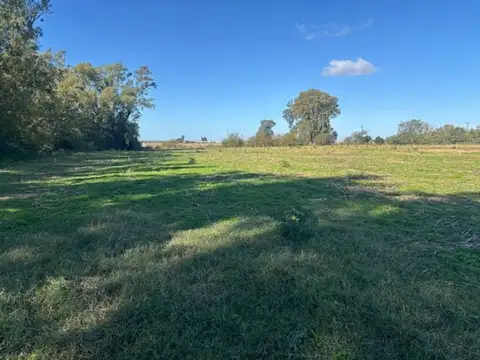 Campo en Venta de 11  ha
