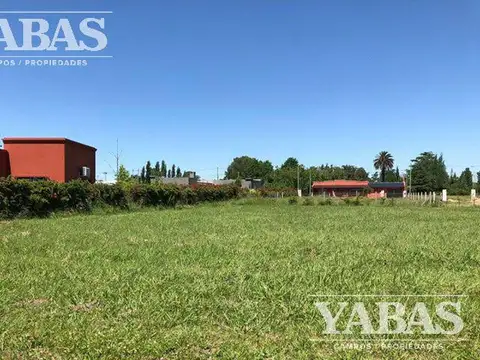 Ruta Nº al 100