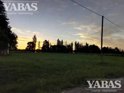 VENTA - TERRENO - San Pedro (Bs.As) - Ruta Nº 191 - Kilometro 5 - BARRIO "EL ESCORIAL"