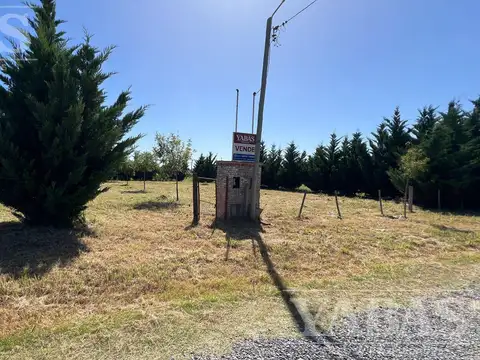 Ruta Nº al 100