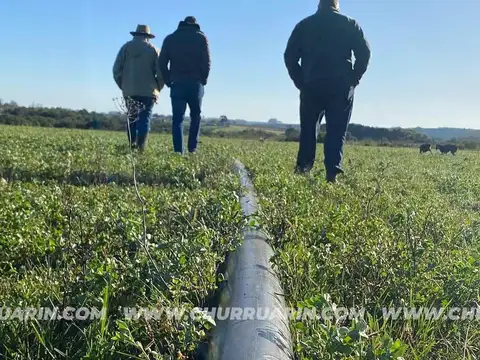 147 HAS AGRICOLAS URUGUAY