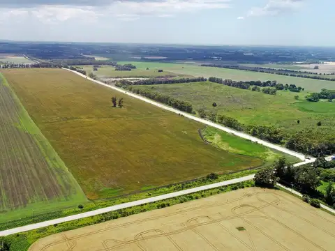 Mar del Plata - 44 has. Ideal desarrollo