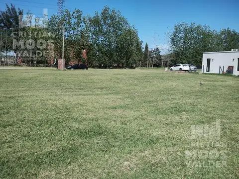 la pista